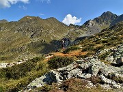 Anello Laghi di Porcile-Passo di Tartano, Cima-Passo di Lemma da Baita del Camoscio (13 sett. 2021)- FOTOGALLERY